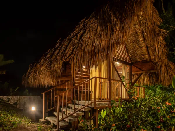 Cabin Nestled in Bamboo Forest